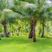 Reliable lawn mowing service for year-round maintenance in Sarasota, FL by GreenEdge Florida