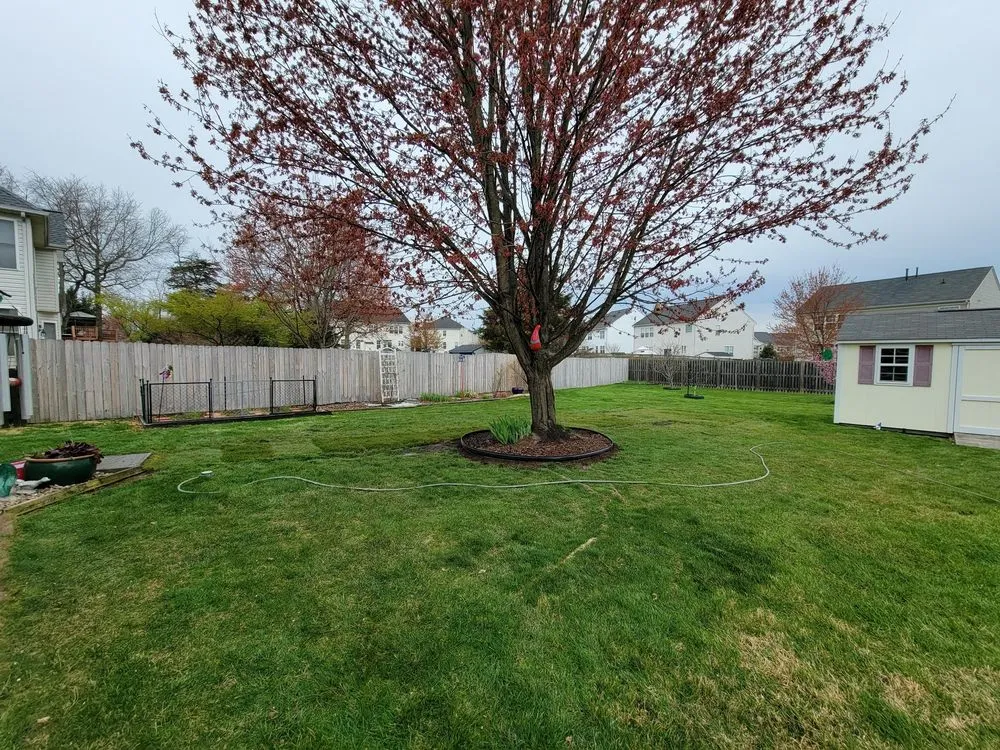 Top-rated garden landscaping experts serving Winchester, VA - GreenEdge Landscaping