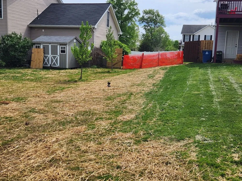 Reliable lawn care service for year-round maintenance in Winchester, VA by GreenEdge Landscaping