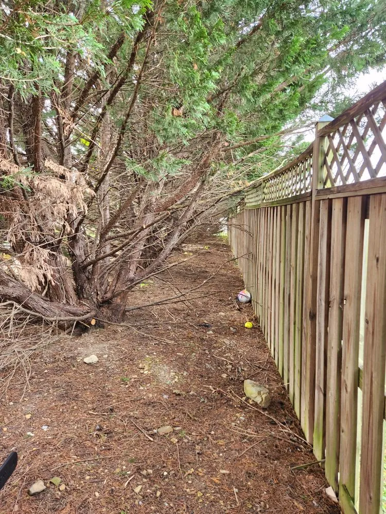 Top-rated landscape installation experts serving Winchester, VA - GreenEdge Landscaping