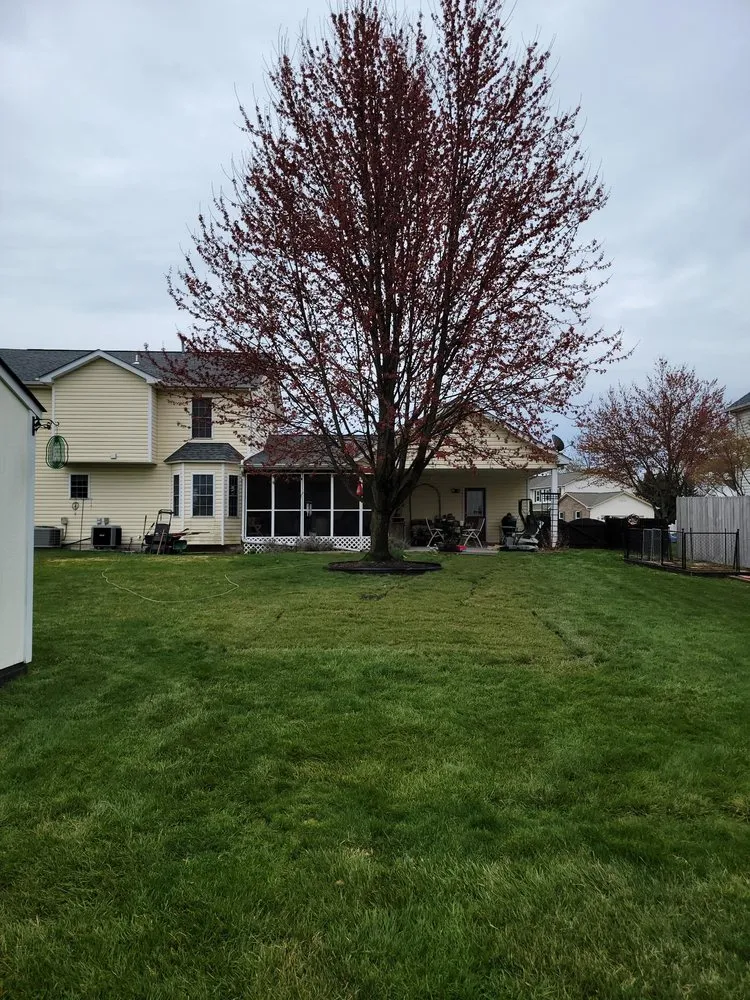 Reliable yard maintenance for beautiful yards across Winchester, VA - GreenEdge Landscaping