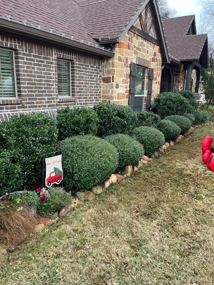 Reliable landscape design for outdoor upgrades across Midlothian, TX - Greenedge Solutions