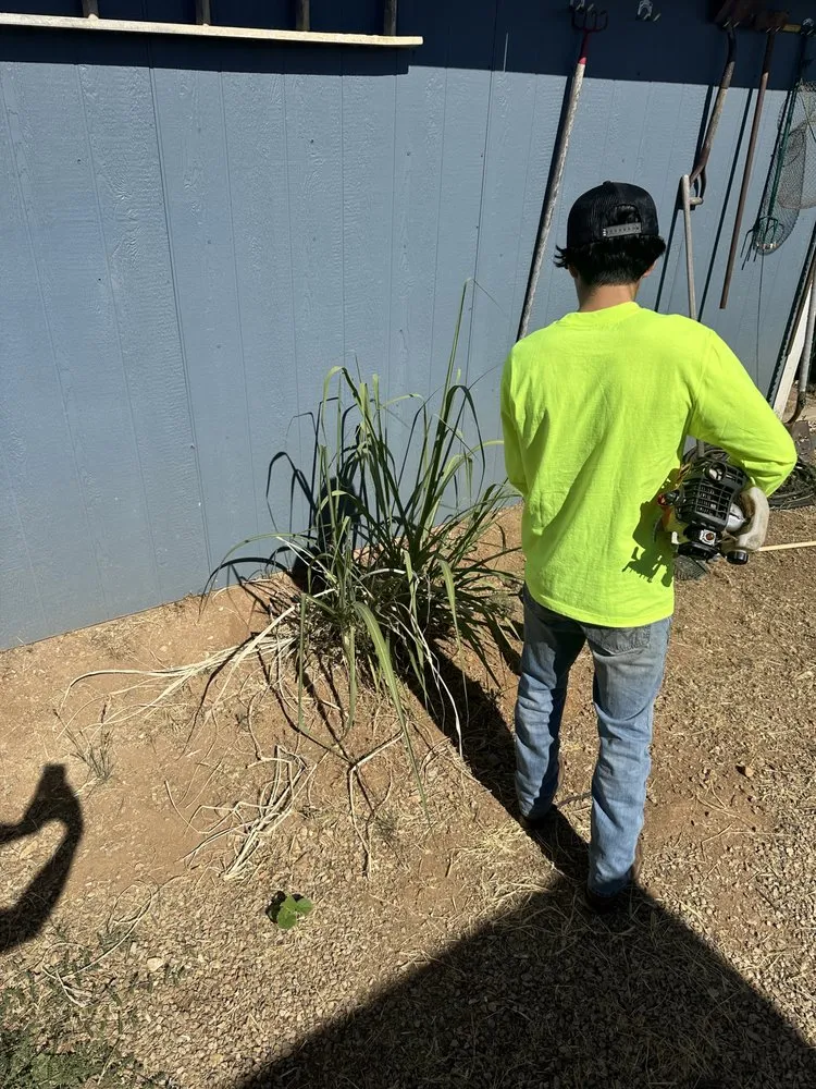 Trusted garden landscaping for residential properties across Yucaipa, CA - GreenEdge Yardworks