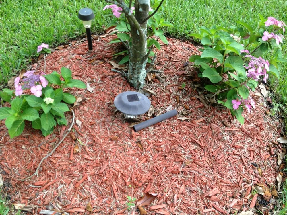 Top-rated residential landscaping for year-round maintenance across St. Augustine, FL - Greener & Cleaner
