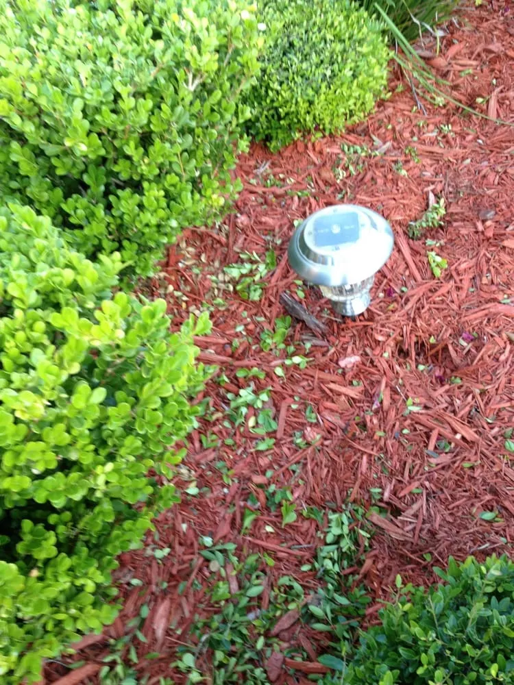 Professional lawn mowing service in St. Augustine, FL by Greener & Cleaner