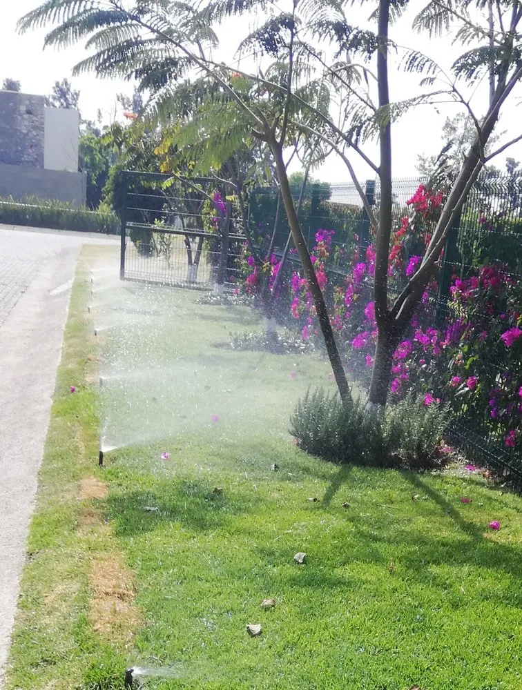 Affordable garden landscaping in Hoover, AL - Greener Alabama