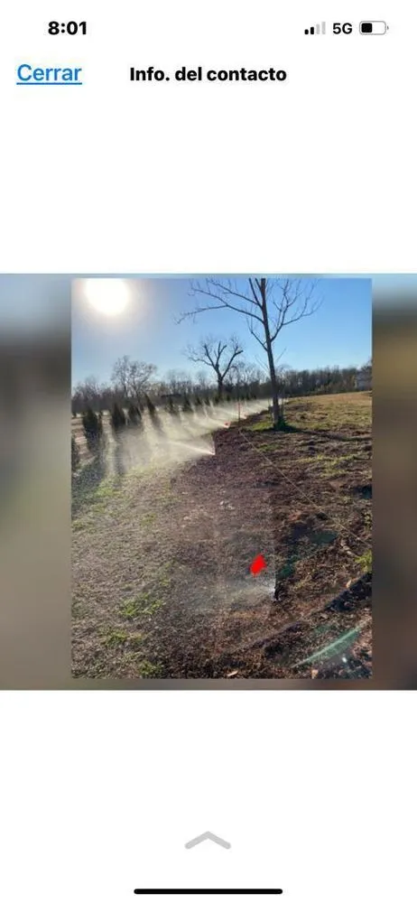 Professional residential landscaping in Hoover, AL by Greener Alabama