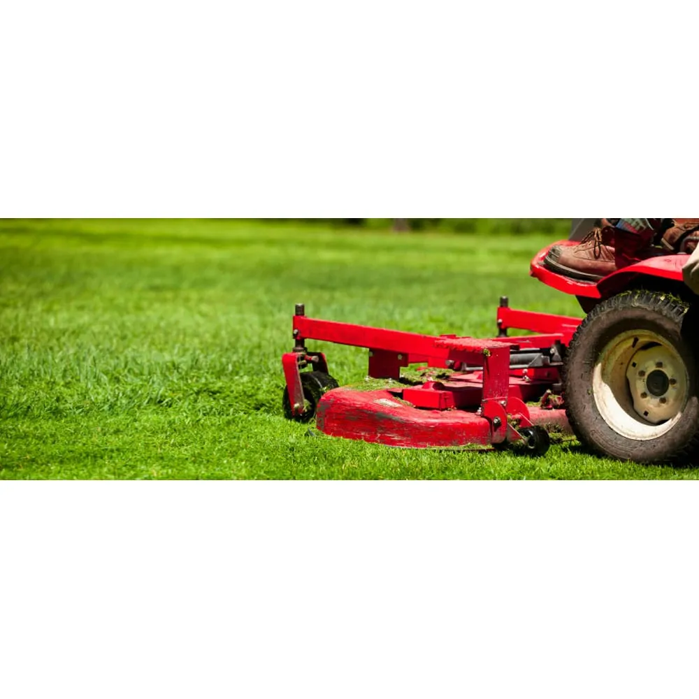 Trusted landscaping services experts serving Rogers, MN - Greener Alternative