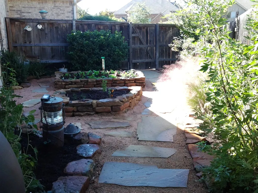 Expert yard maintenance in Austin, TX by Greener Austin