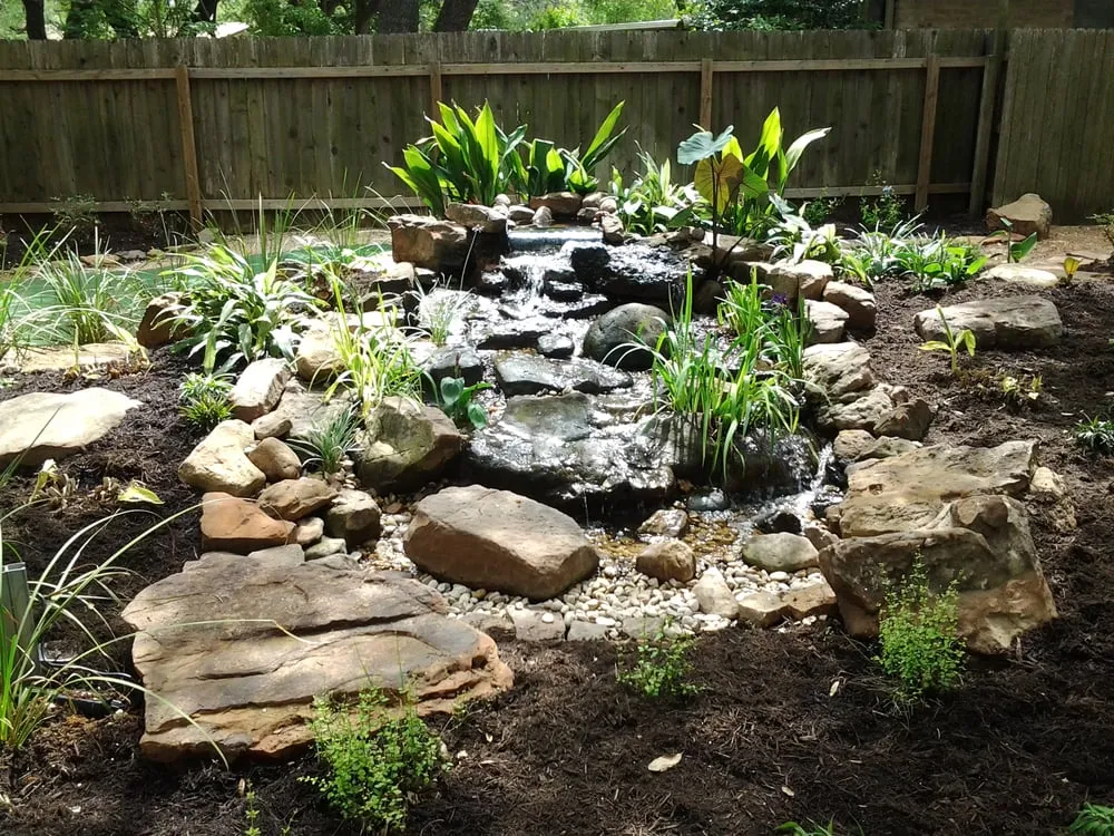 Professional lawn care service in Austin, TX - Greener Austin