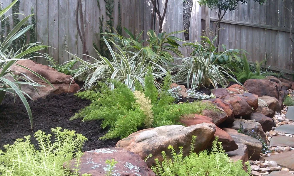 Custom lawn mowing service in Austin, TX - Greener Austin