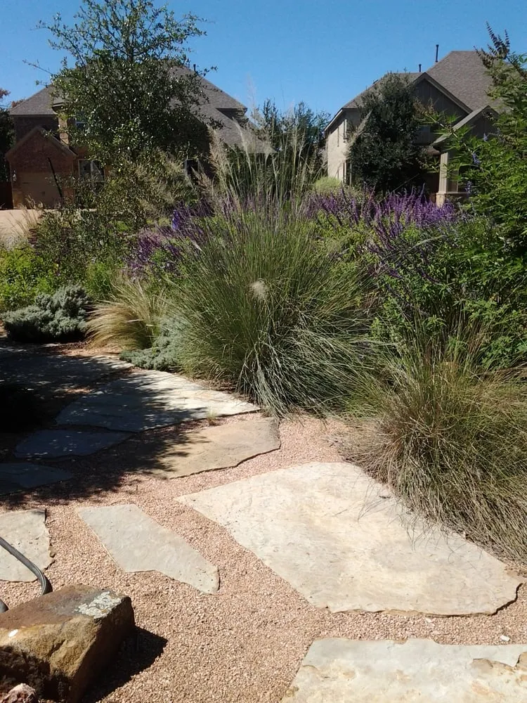 Top-rated yard maintenance near you across Austin, TX - Greener Austin