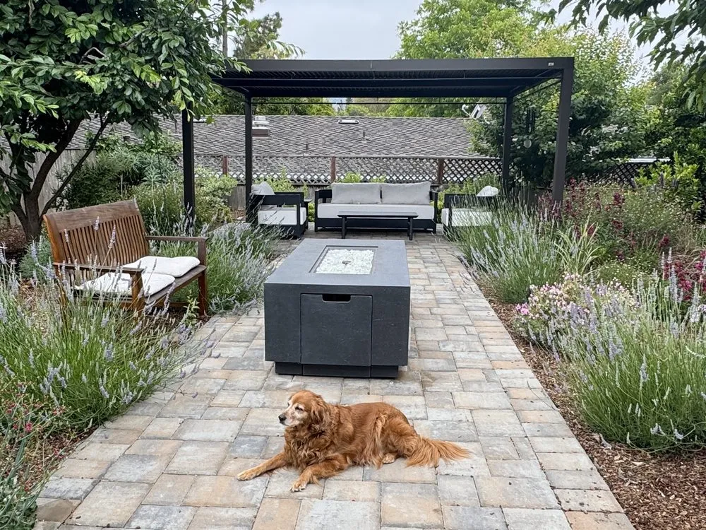 Custom yard cleanup service in San Jose, CA by Greener Bay Landscaping