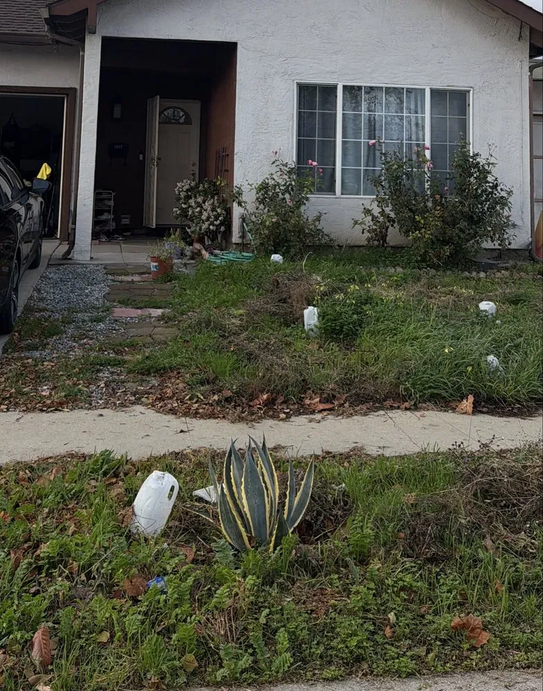 Expert yard cleanup service for outdoor upgrades in San Jose, CA by Greener Bay Landscaping