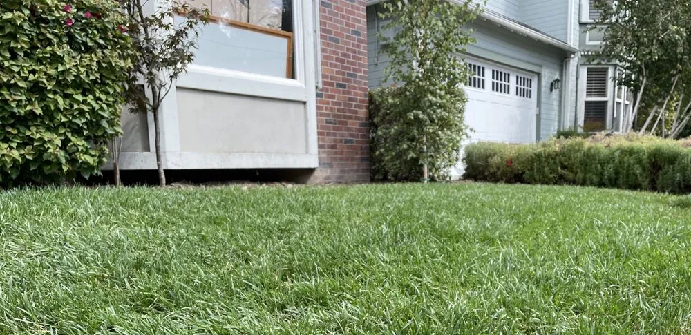 Expert outdoor landscaping near you in San Jose, CA by Greener Bay Landscaping