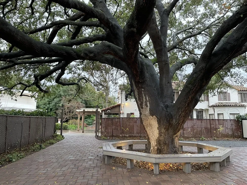 Expert garden landscaping experts serving San Jose, CA - Greener Bay Landscaping