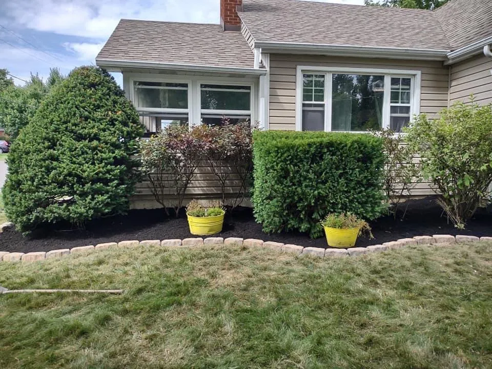 Professional yard cleanup service in Ellwood City, PA - Greener Concepts Lawn Care Solutions