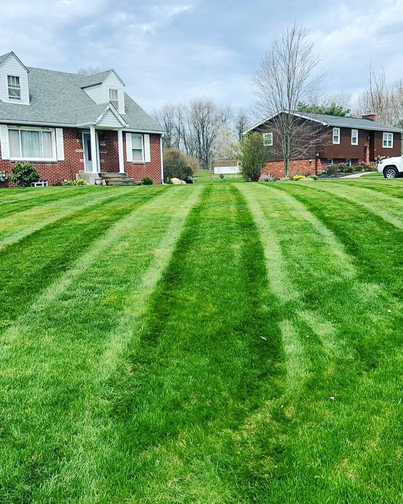Custom landscape installation in Ellwood City, PA by Greener Concepts Lawn Care Solutions