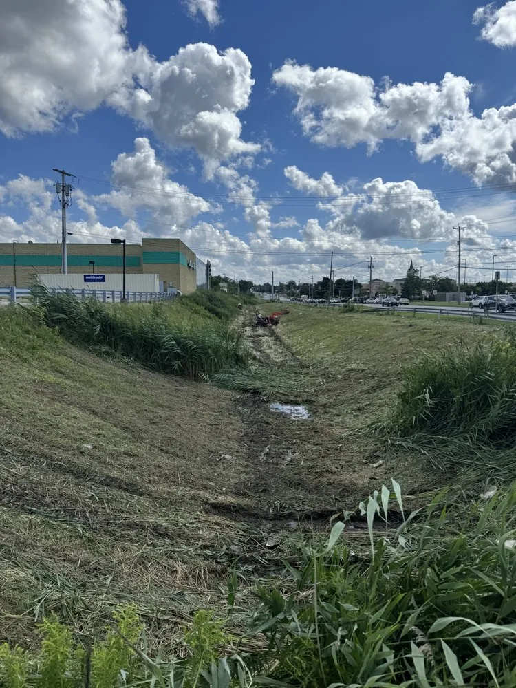 Professional yard maintenance experts serving East Aurora, NY - Greener Days