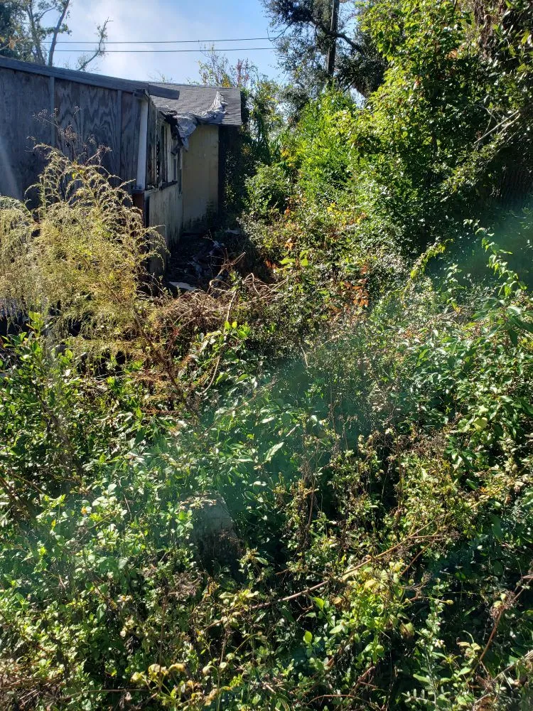 Local residential landscaping in Panama City, FL by Greener Days Lawn Care and Gardening