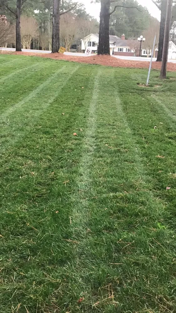 Reliable lawn mowing service for year-round maintenance in Raleigh, NC by Greener Days Turf Care