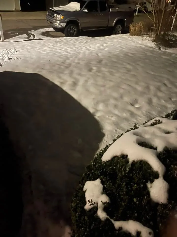 Trusted garden landscaping for homes in Raleigh, NC by Greener Days Turf Care