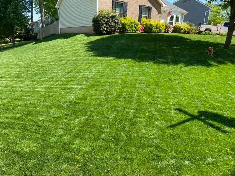 Affordable garden landscaping for residential properties across Raleigh, NC - Greener Days Turf Care