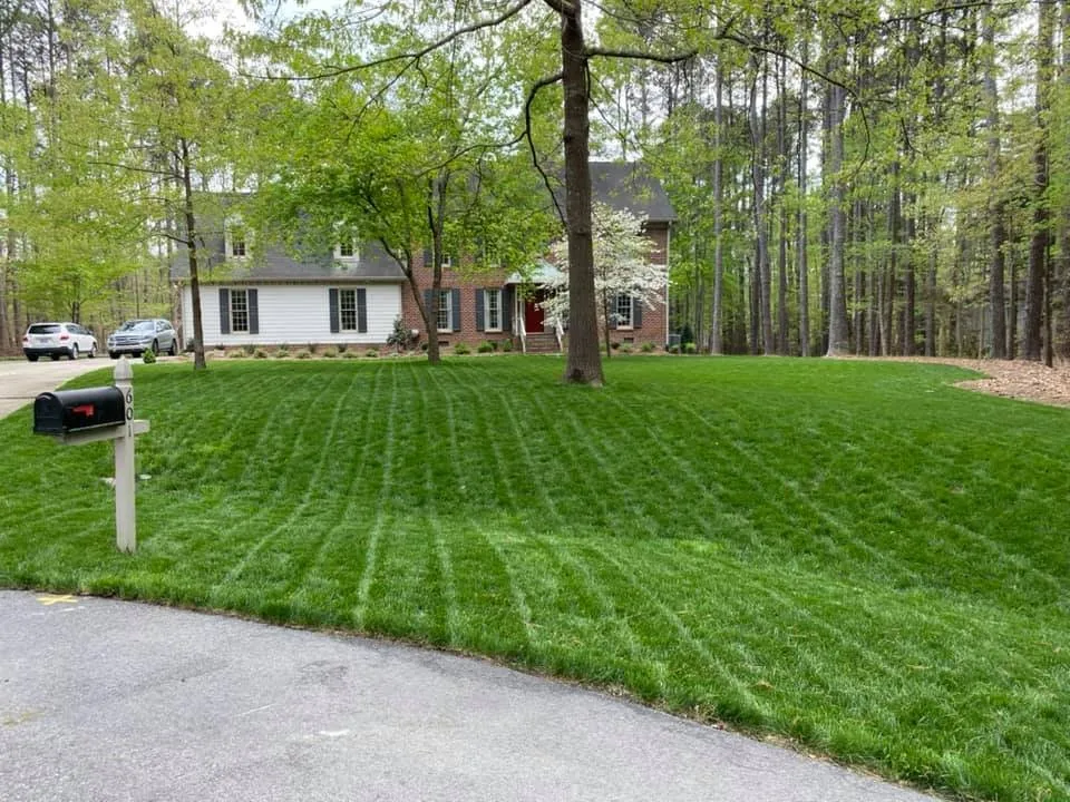 Top-rated yard cleanup service experts serving Raleigh, NC - Greener Days Turf Care