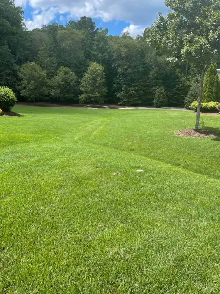 Professional yard cleanup service in Raleigh, NC - Greener Days Turf Care
