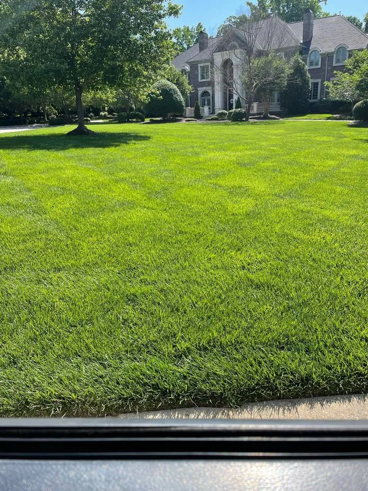 Local landscaping services for residential properties across Raleigh, NC - Greener Days Turf Care