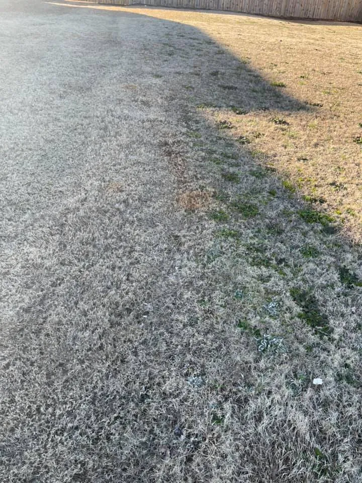 Reliable garden landscaping in Raleigh, NC - Greener Days Turf Care