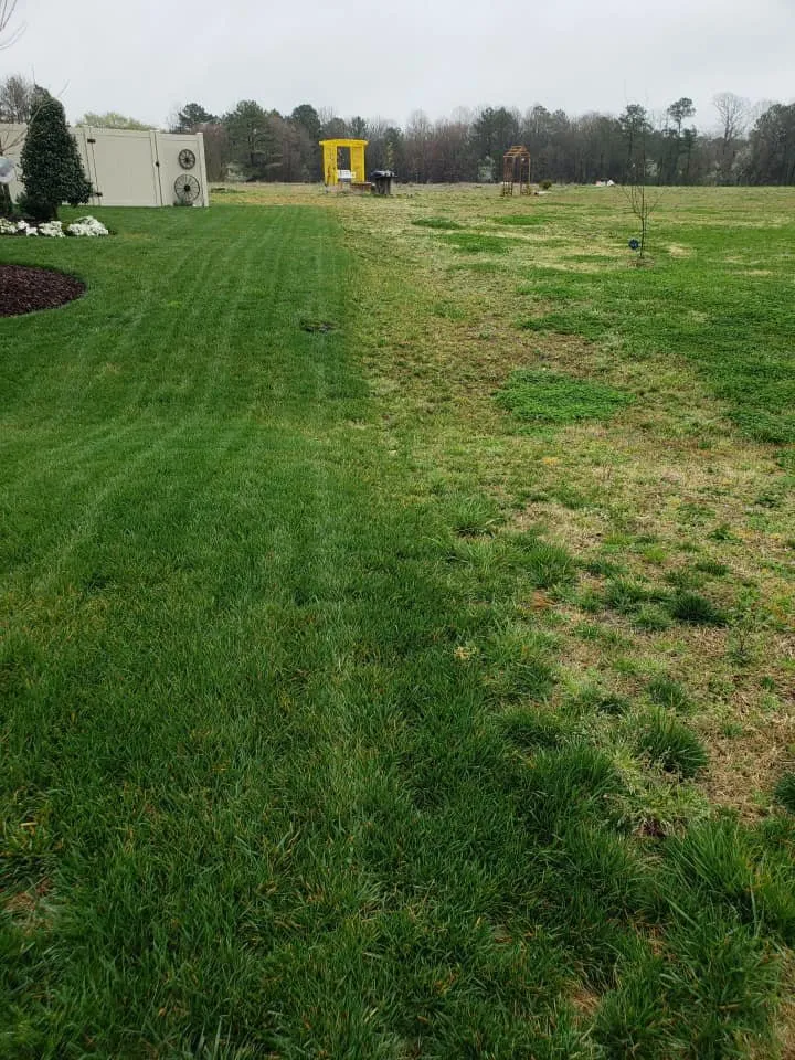 Trusted garden landscaping in Raleigh, NC by Greener Days Turf Care