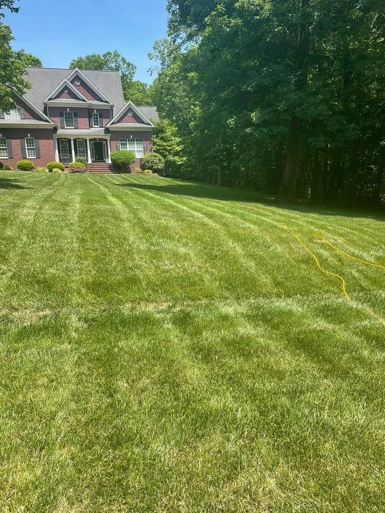 Local yard cleanup service in Raleigh, NC by Greener Days Turf Care