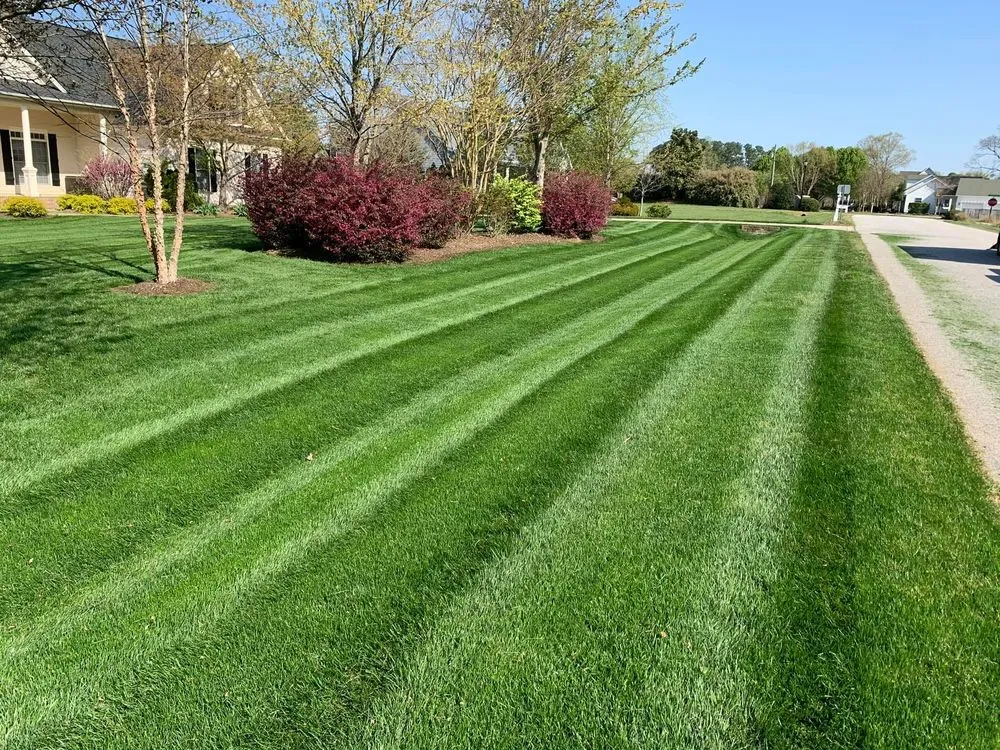 Affordable landscape installation for beautiful yards in Raleigh, NC by Greener Days Turf Care