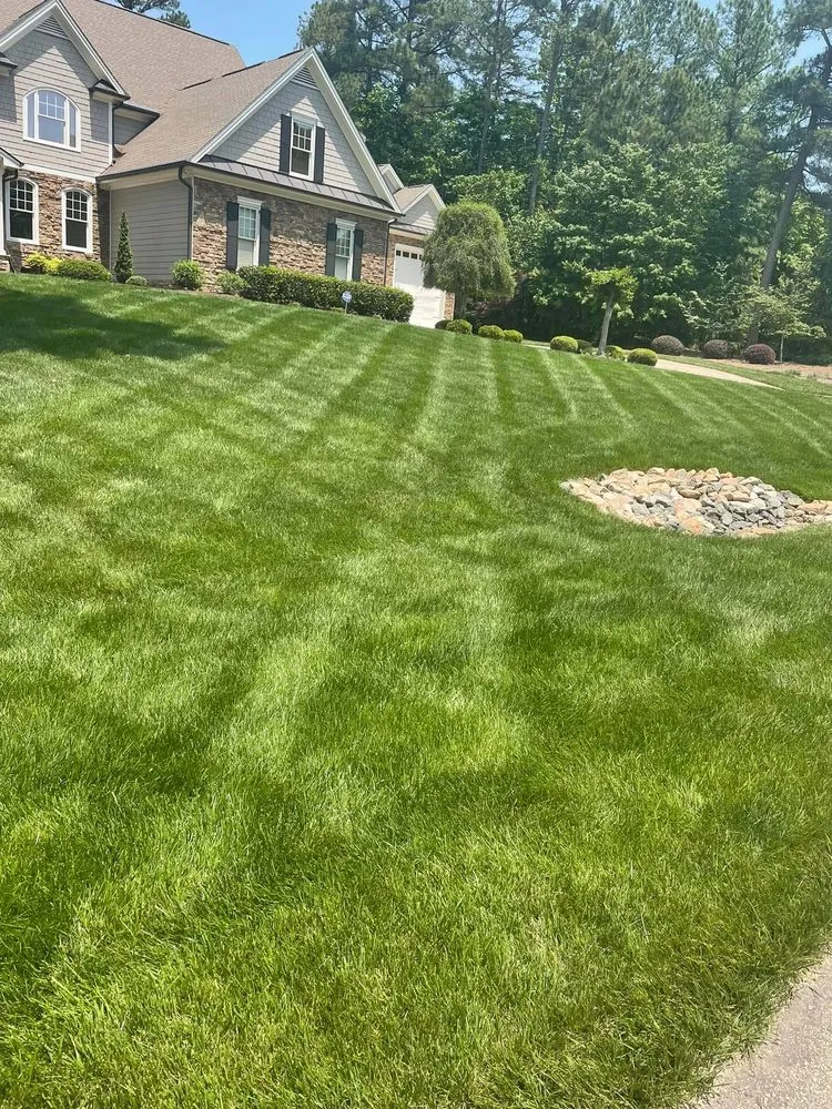 Trusted yard cleanup service with custom design in Raleigh, NC by Greener Days Turf Care