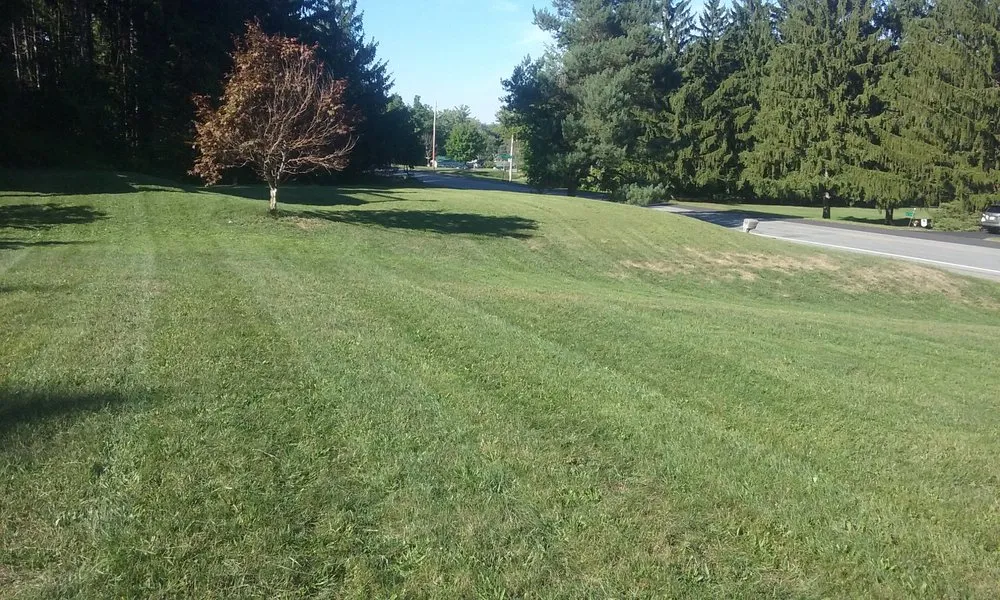 Expert yard cleanup service in Canandaigua, NY by Greener Earth LawnCare