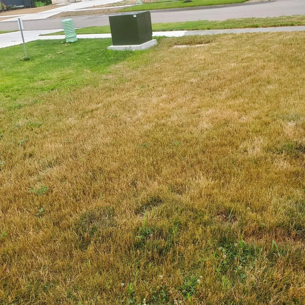 Trusted lawn care service in Sparta, MI - Greener Earth Organic Lawncare & Landscaping