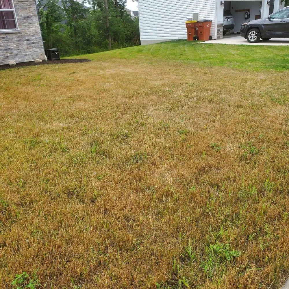 Top-rated lawn mowing service for year-round maintenance in Sparta, MI by Greener Earth Organic Lawncare & Landscaping