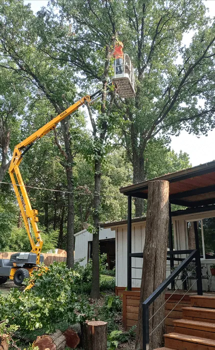 Local residential landscaping for beautiful yards across Durant, OK - Greener Earth Tree Service
