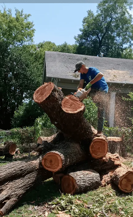 Trusted lawn care service with custom design across Durant, OK - Greener Earth Tree Service