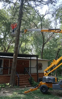 Greener Earth Tree Service Logo