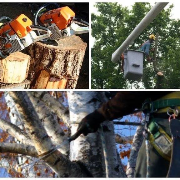 Expert residential landscaping in Tom Bean, TX - Greener Earth Tree Service
