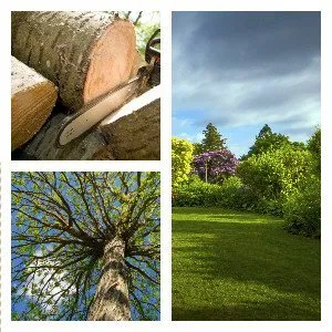 Custom landscape design in Tom Bean, TX - Greener Earth Tree Service