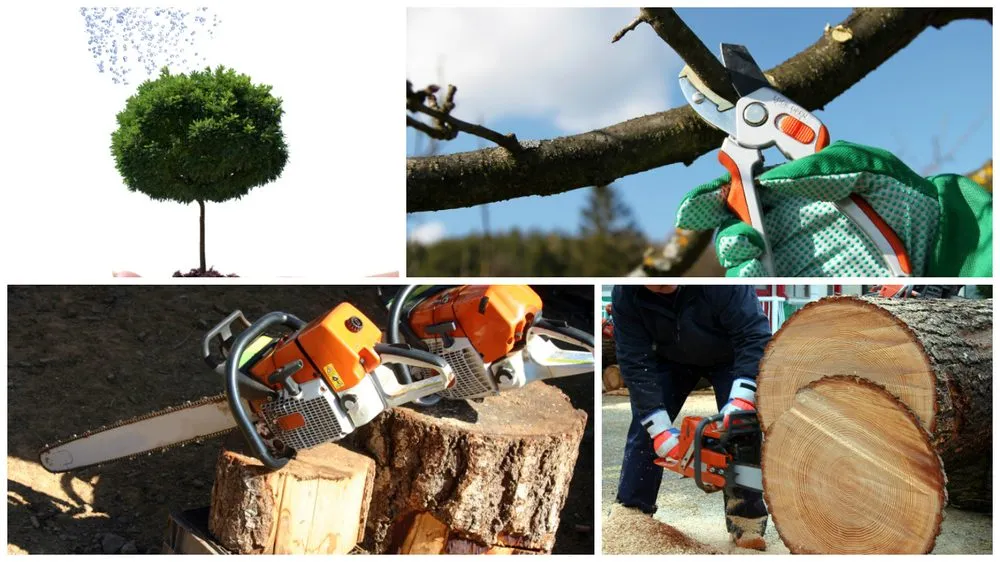 Custom lawn care service in Tom Bean, TX by Greener Earth Tree Service