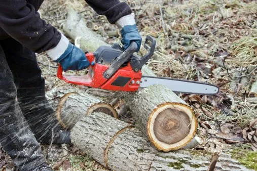 Reliable lawn mowing service in Tom Bean, TX - Greener Earth Tree Service