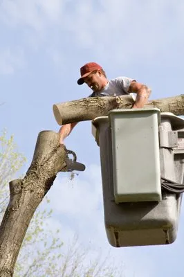 Greener Earth Tree Service Logo