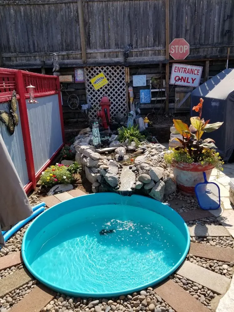 Reliable lawn care service in Vancouver, WA - Greener Edge Landscape