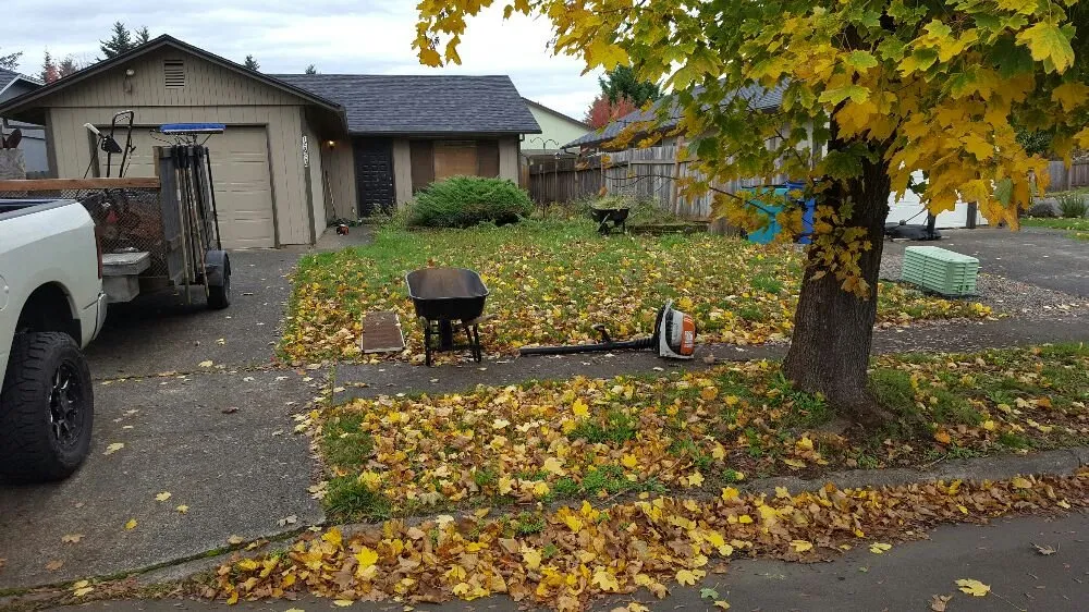 Trusted outdoor landscaping for year-round maintenance in Vancouver, WA by Greener Edge Landscape