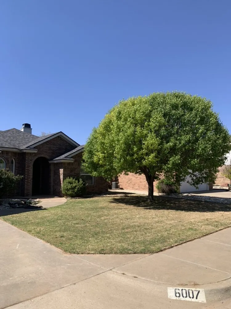 Reliable lawn mowing service in Lubbock, TX - Greener Exteriors