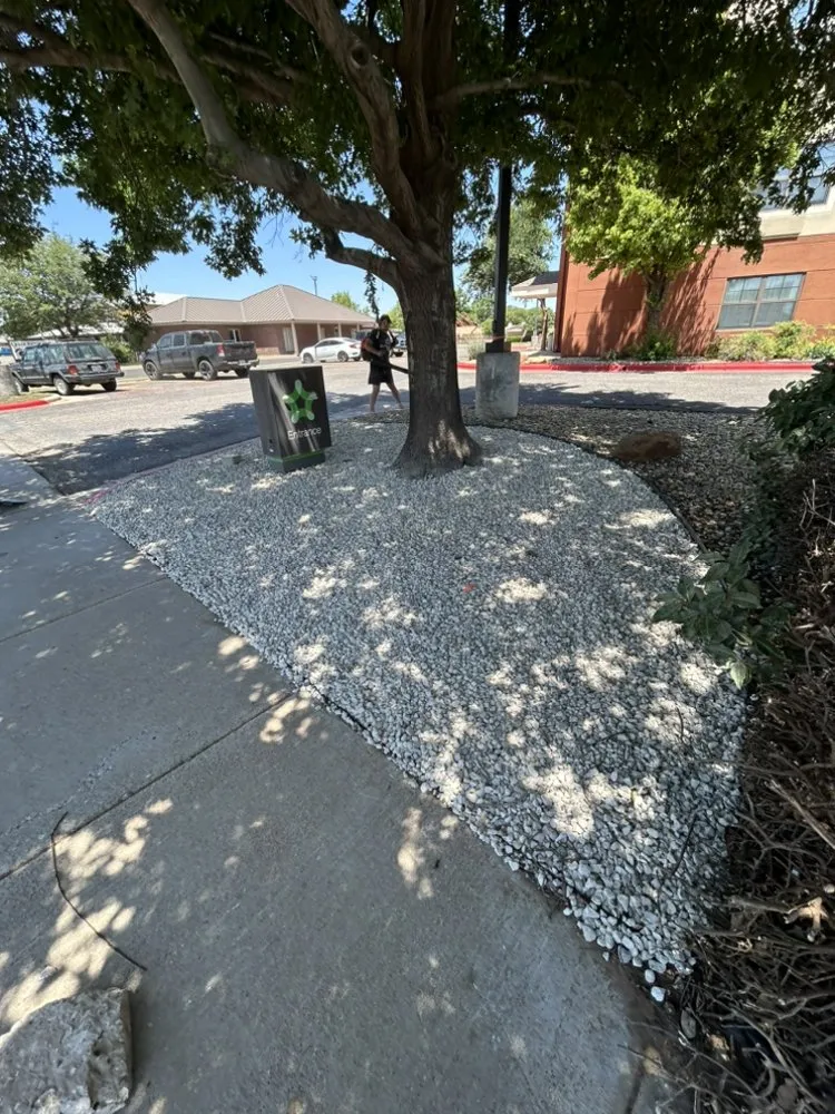 Trusted landscaping services in Lubbock, TX by Greener Exteriors